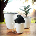 (BC-F1025) Plastic Fashionable Square Self-Watering Imitation Porcelain Flower Pot